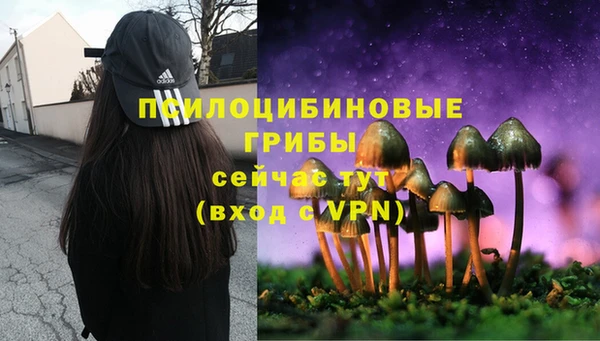 ГАЛЛЮЦИНОГЕННЫЕ ГРИБЫ Алексин