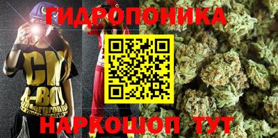 сатива Заводоуковск