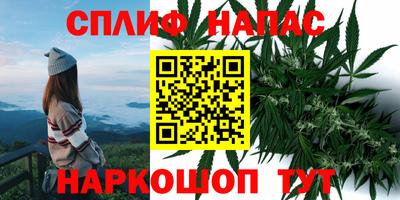 сатива Заводоуковск