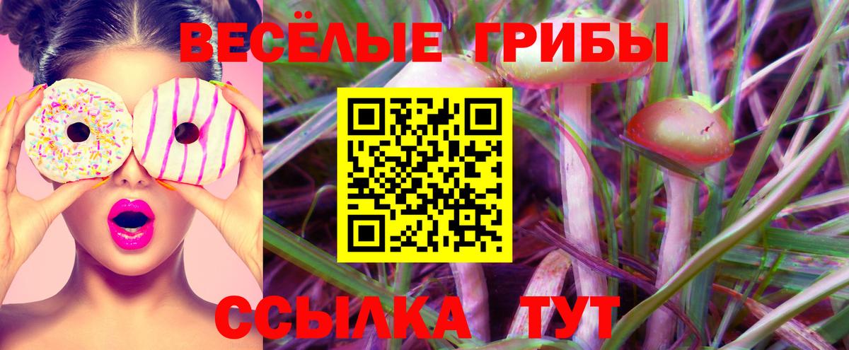 Набережные Челны  Галлюциногенные грибы Cubensis  Вход с VPN 