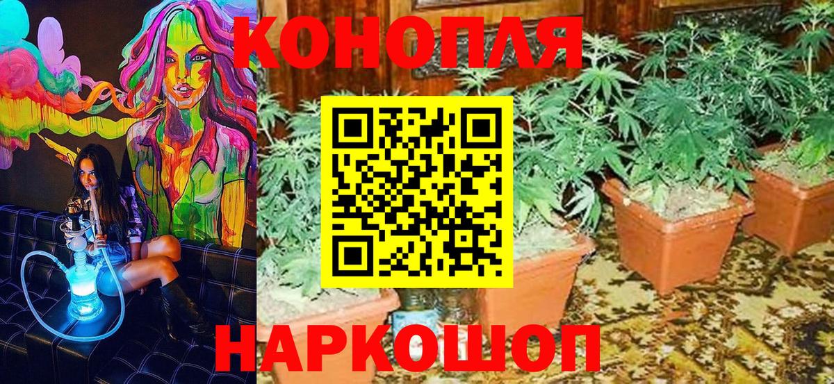 Бошки марихуана конопля  Бошки Шишки LSD WEED  Канабис сатива  Набережные Челны  Вход с VPN 